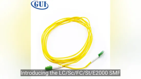 LC/Sc/FC/St/E2000 SMF Single Mode Fiber Patchcord Simplex Optical Optic 