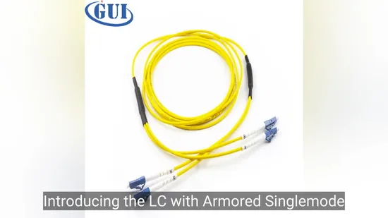 LC with Armored Singlemode Sm Fiber Patchcord Duplex Dx 