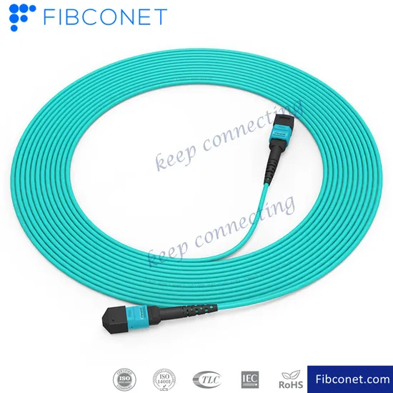FTTH 50/125 Um mm Om4 24 Cores Fiber Optic/Optical MPO Patchcord 