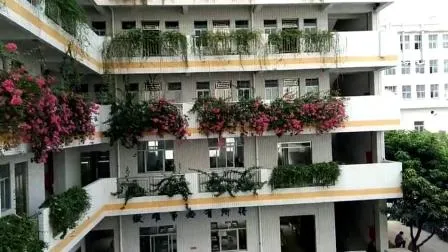 Fiber Optic Patchcord Sc